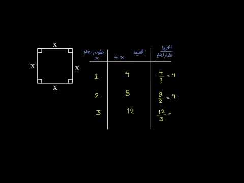 الصف السابع الرياضيات النسب والعلاقات التناسبية العلاقة التناسبية بين طول الضلع والمحيط