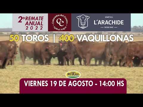 Spot 2º Remate Anual 2022 ~ L'ARACHIDE + Colorados del Centro ~ Viernes 19/08 ~ Remate Talano Hnos.