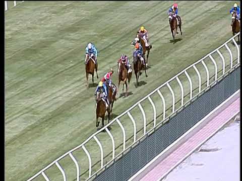 Galoppo 07/06/2019 - 1ª corsa