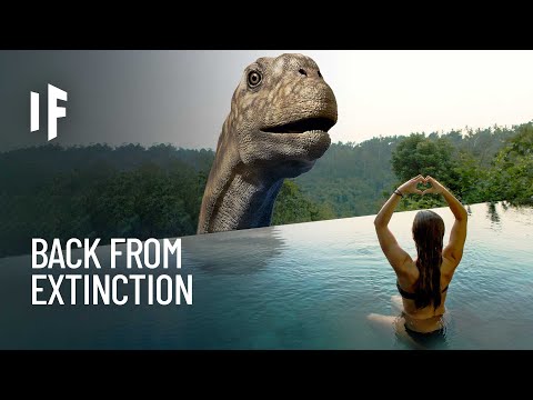 What If the Argentinosaurus Was Alive Today?