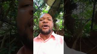 FANDA NA YO reaction by alka mbumba