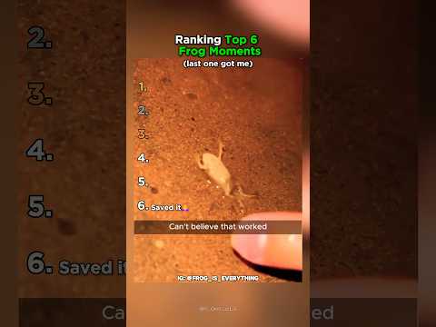 Ranking Top 6 Frog Moments That Made You LOL!