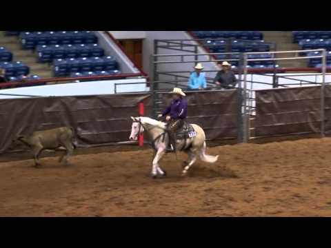 The Shining Gun - 2015 SRCHA Rhode To Reno