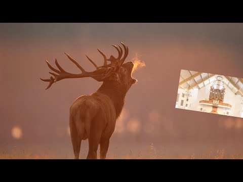 Samenzang Psalm 84 vers 1 en 6 (met bovenstem) | Hersteld Hervormde Kerk te Elspeet