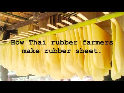 How thai rubber farmers make rubber sheets from natural late...