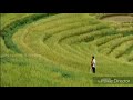 Un Mela Aasapattu Cut Song