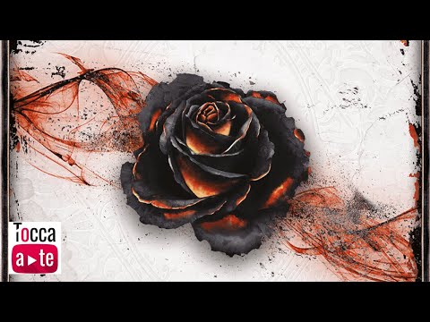 Tocca a te 115 - Black Rose Wars