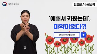 [수어로 알려주는 정책] 예뻐서 키웠는데…마약?