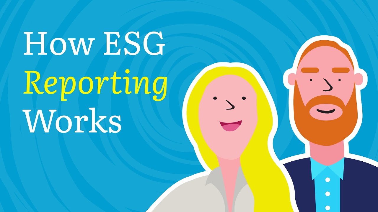 How to build a modern ESG reporting framework | Understanding standards, metrics and challenges