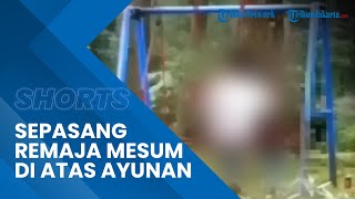 Viral Video Sepasang Remaja Nekat Berbuat Mesum di Atas Ayunan Taman Wisata Linggo Asri Pekalongan