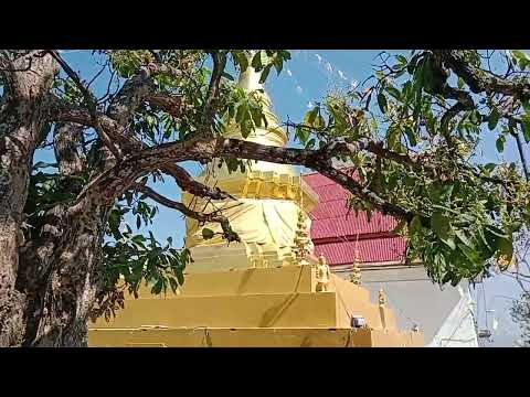 วัดพระธาตุม่วงคำ