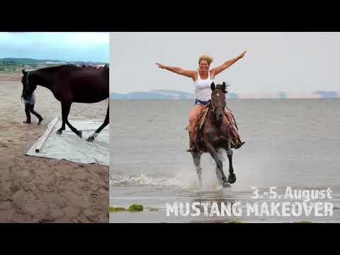 MUSTANG MAKEOVER 2018 Team Cathleen (TAG 4013) - Update 6