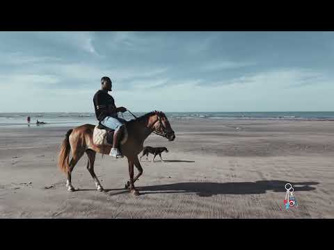 NINETYSV7N - 2 MANY (FEAT FLY SHADEZ) (MUSIC VIDEO)