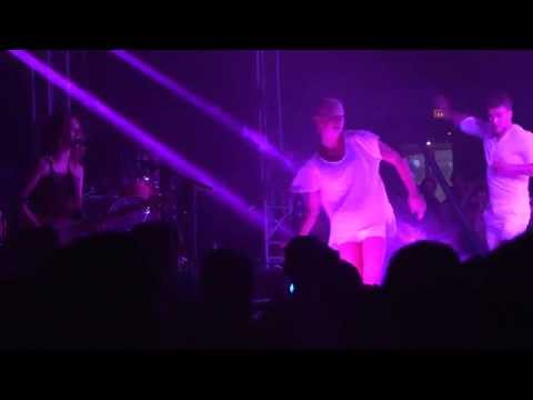 STILL IN SEARCH // HUMAN IN BARE (Live @ The Grand Circus Show)