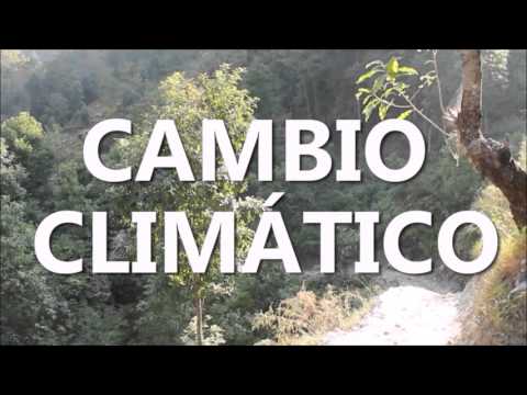 Lucha contra el hambre