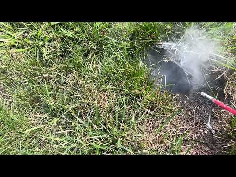 Resident Getting Stung by In Ground Yellow Jackets in Allenhurst, NJ