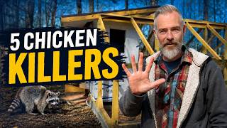 5 Common Mistakes That Can Kill Your Chickens