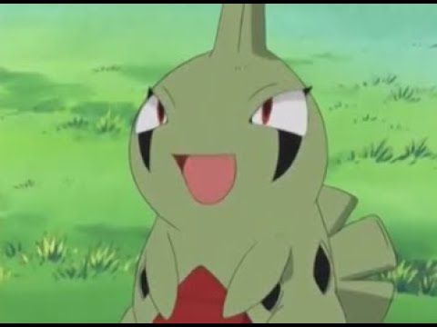 Larvitar's Cute Moments