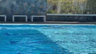 25 มกราคม 2568