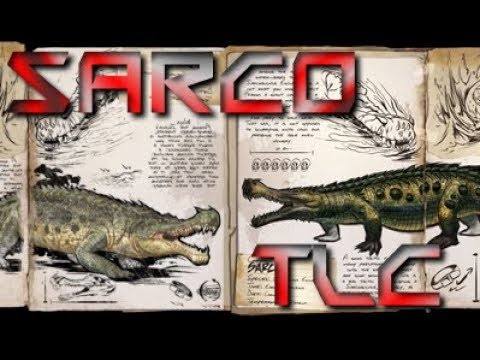 The New Sarco TLC- Sarco is best