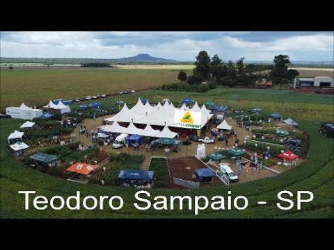 TEODORO SAMPAIO - SP