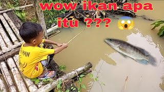 Download lagu MANCING IKAN BETOK mp3