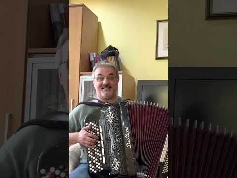 Boemsko kolo                                                   Kompozitor - Vlada Panović