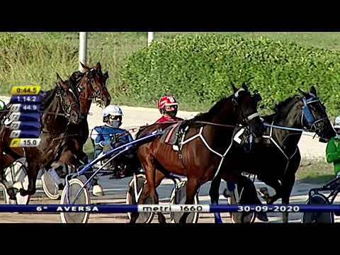 Aversa trotto 30 Settembre 2020 - 6° Corsa