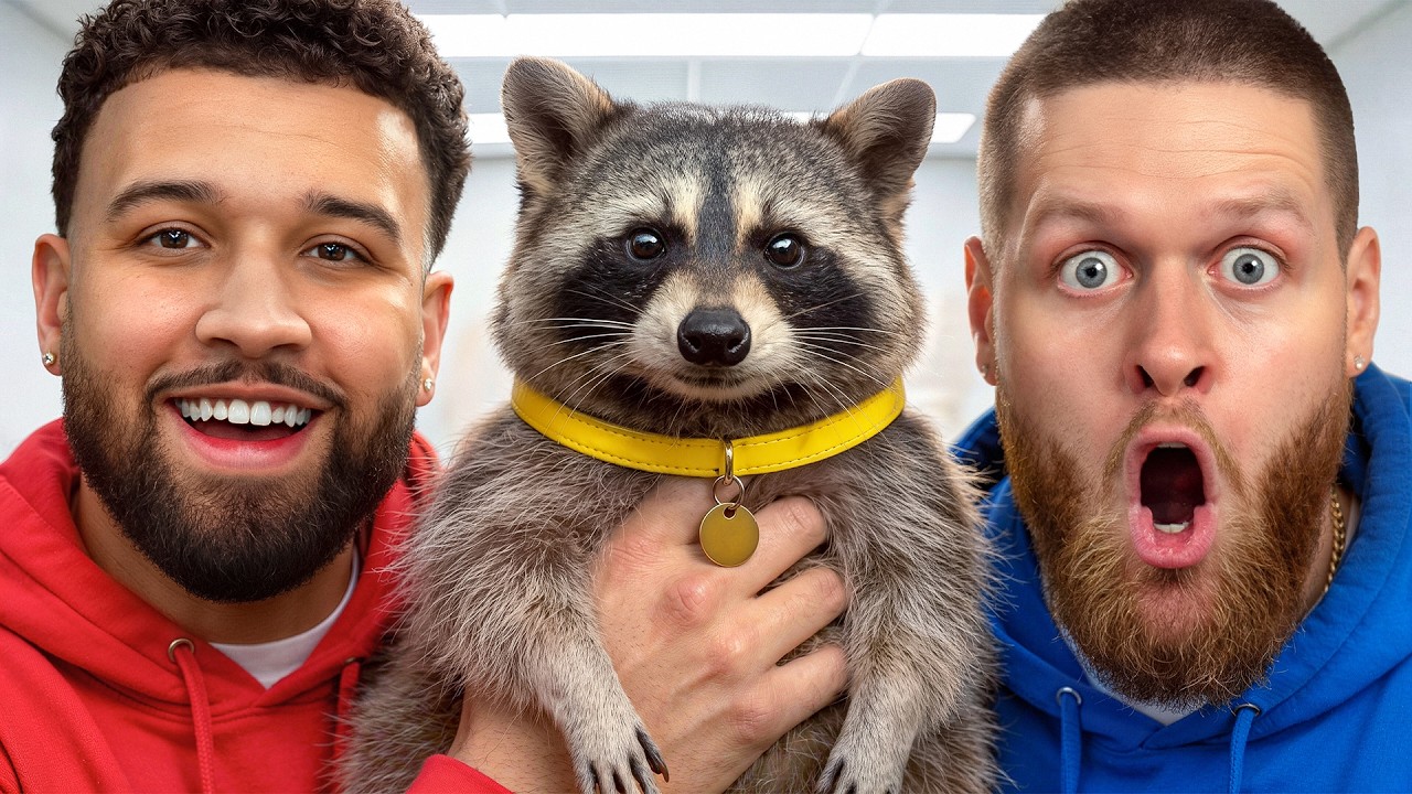 SURPRISING FRIEND WITH A RACCOON! -You Should Know Podcast- Episode 213