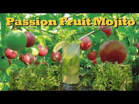 How To Make A Passion Fruit Mojito | Drinks Made Easy