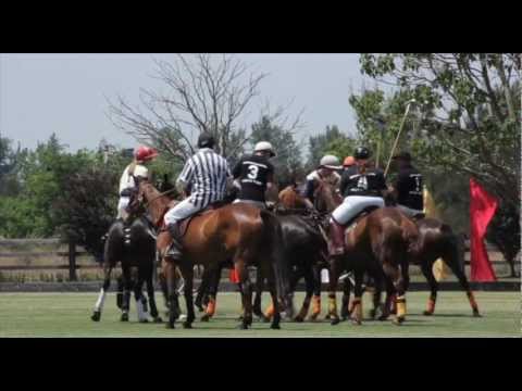 SYDNEY POLO CLUB - SYDNEY GOLD CUP