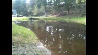 preview picture of video 'Woodslawn Farm Pond Rebuilt and Refilled'