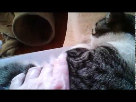 Knuth mit Schüttelfrost