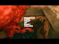 Brandon Lake COAT OF MANY COLORS Lyric Video