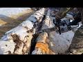 Firewood The Process Of Splitting Firewood Splitting Firewood Of Any Complexity