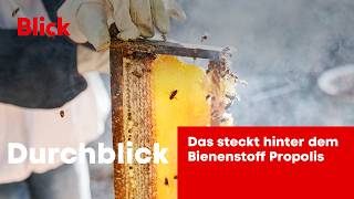Das steckt hinter dem Bienenstoff Propolis