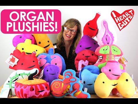 download lagu mp3 mp4 Plush Organs, download lagu Plush Organs gratis, unduh video klip Plush Organs