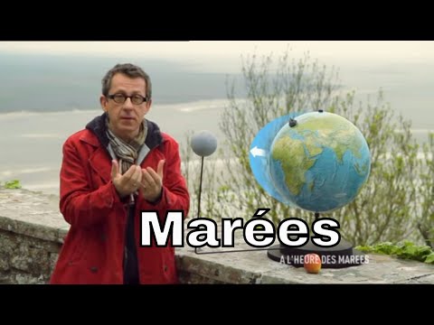 Qu'est-ce qui provoque les marées ? - C'est Pas Sorcier