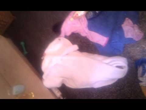 Undercover baby Tilda