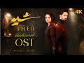 Sher New Ost Danish Taimoor Sara Khan New Version