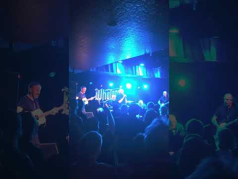 Brian Brannigan/Sack/Brilliant Trees 1, Dublin City,  Apr '25 ...