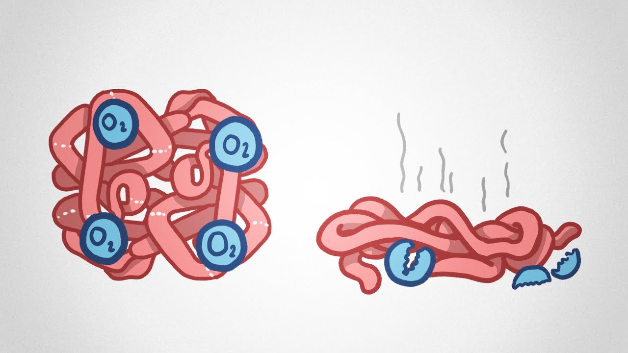 The Disease You Will Never Survive