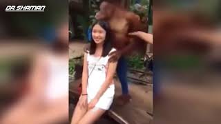 ЛУЧШИЕ ПРИКОЛЫ /АНИМЕ ПРИКОЛЫ/ 2018 МАРТ ЛУЧШАЯ ПОДБОРКА ПРИКОЛОВ/пьяные девушки на дороге/РЕМИКСЫ