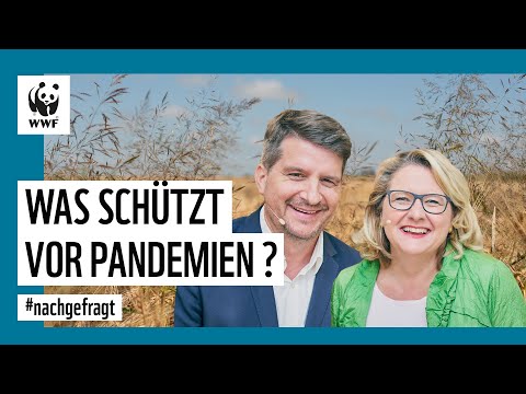 Die Bedrohung aus dem Regenwald - wie wir uns besser vor Pandemien schützen können
