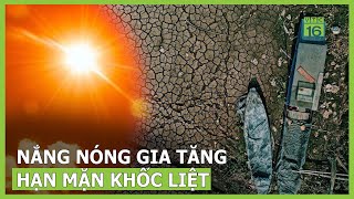 Nắng nóng gia tăng, hạn mặn khốc liệt | VTC16