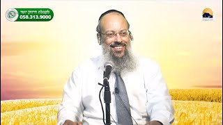 פרשת בלק | הקללה שבתוך הברכה | הגמישות החיונית לניהול הבית ᴴᴰ