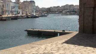 preview picture of video 'PriezPourLaTunisie - La région de Bizerte, Tunisie 001'