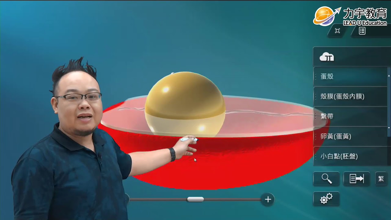 【AI上學】李鴻自然：3D實驗・蛋的構造