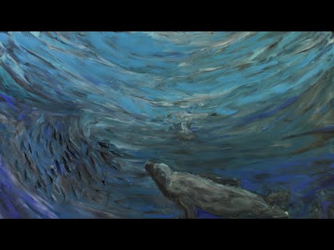 Johnny Flynn and Robert Macfarlane - Ten Degrees of Strange (Official Video)