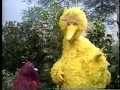Sesame Street Telly Gets The Triangle Flu